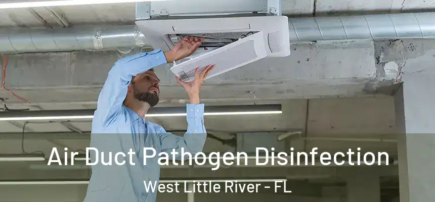  Air Duct Pathogen Disinfection West Little River - FL