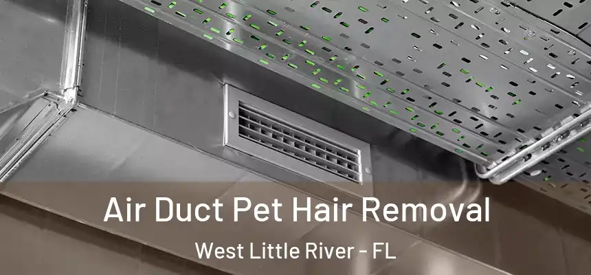 Air Duct Pet Hair Removal West Little River - FL