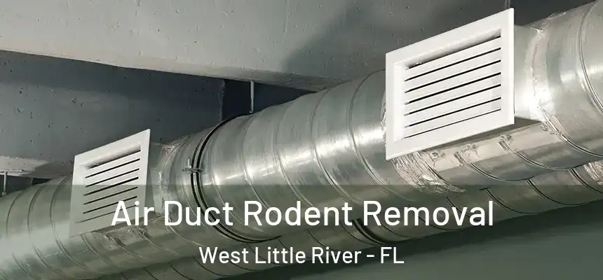  Air Duct Rodent Removal West Little River - FL
