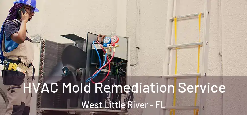  HVAC Mold Remediation Service West Little River - FL