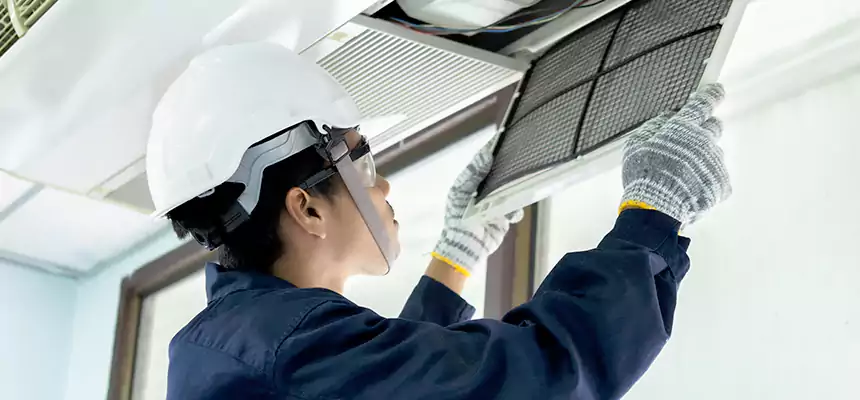 Our Mold & Mildew Removal from Air Ducts Services in West Little River, FL