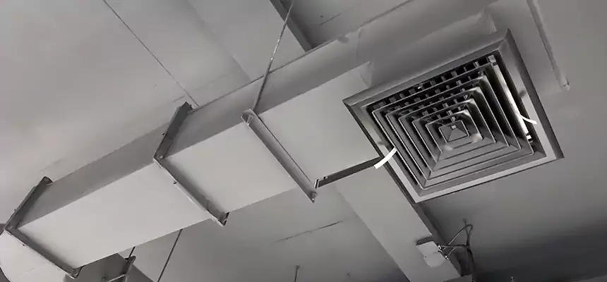 Our Pest Removal From Ducts Services in West Little River, FL