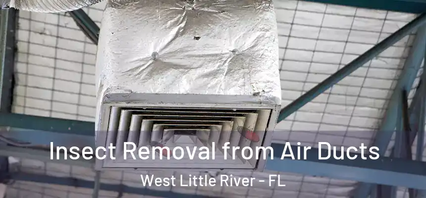  Insect Removal from Air Ducts West Little River - FL