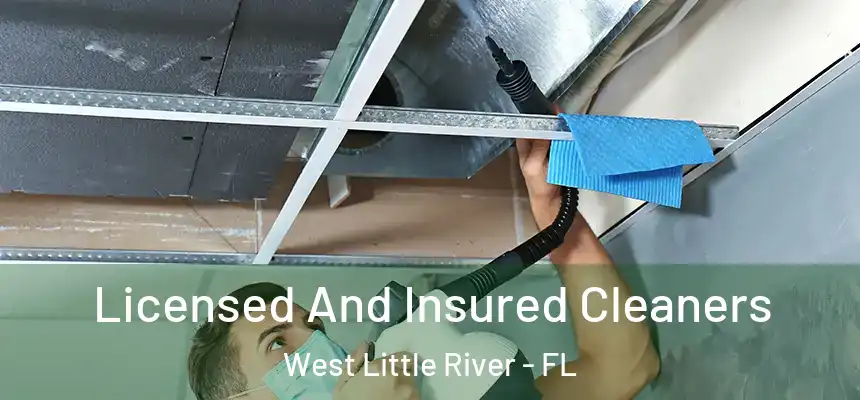  Licensed And Insured Cleaners West Little River - FL
