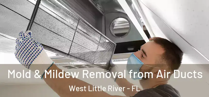  Mold & Mildew Removal from Air Ducts West Little River - FL