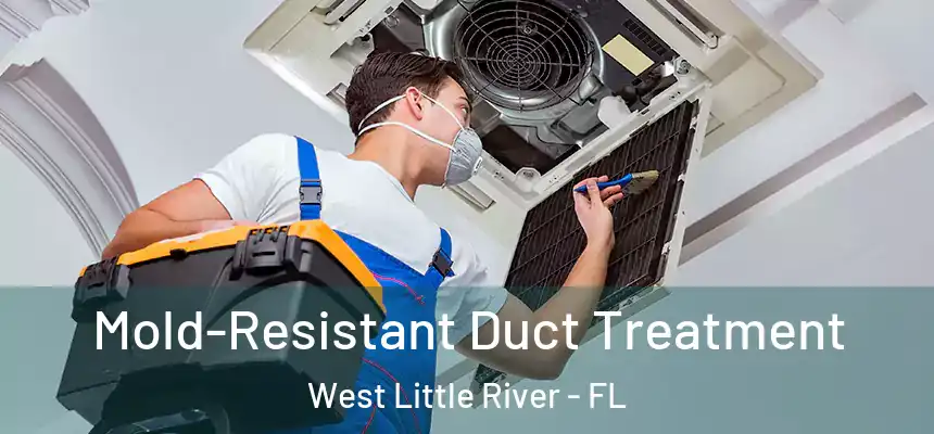  Mold-Resistant Duct Treatment West Little River - FL