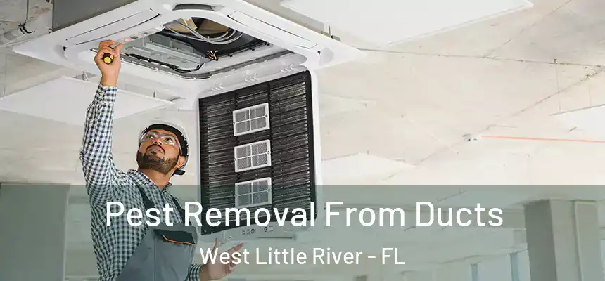  Pest Removal From Ducts West Little River - FL