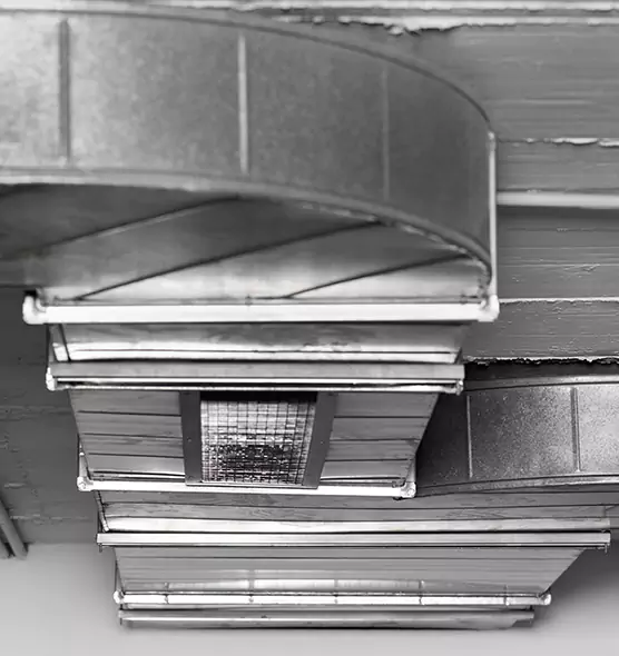 Professional Air Duct Pest Removal in West Little River, FL