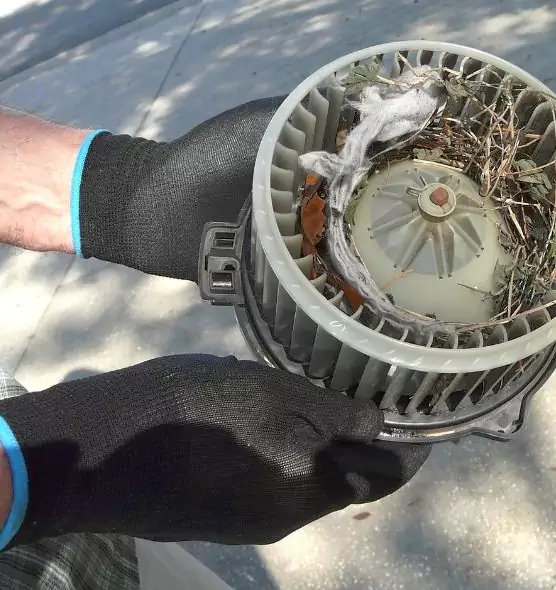 About Air Duct Rat Removal in West Little River, FL