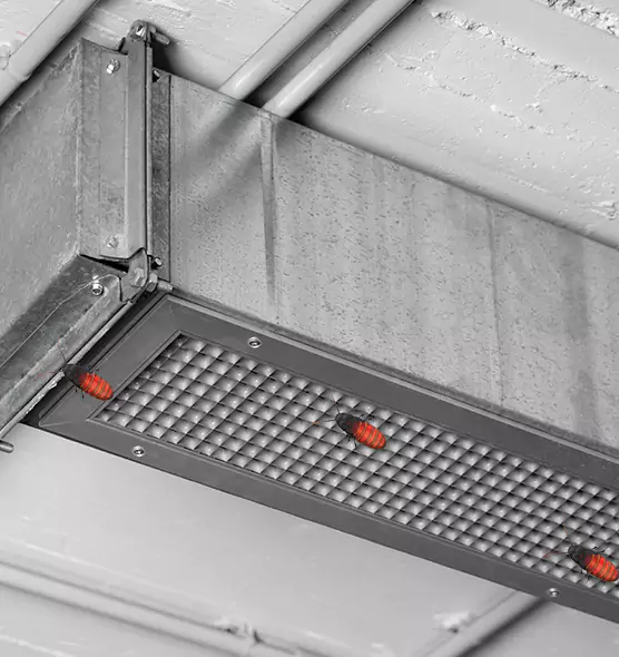 Affordable Insect Removal from Air Ducts in West Little River, FL